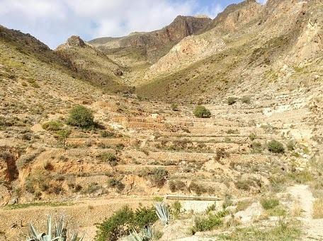 Cortijo El Molino Apartamento"El Balconcito" นีคาร์ ภายนอก รูปภาพ